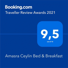 Отель Amasra Ceylin Otel  Амасра